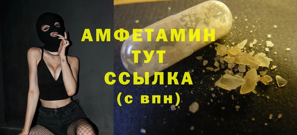 индика Осинники