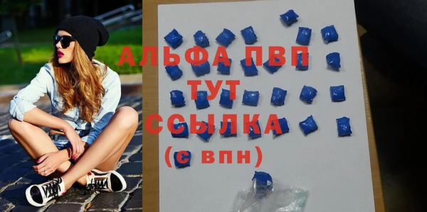сатива Пересвет