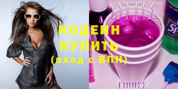 индика Осинники