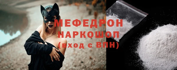 индика Осинники