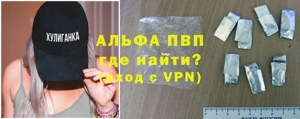 сатива Пересвет
