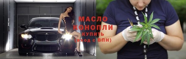 индика Осинники