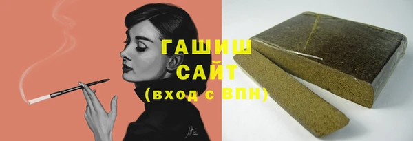 индика Осинники