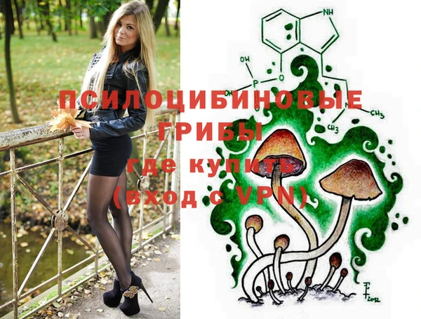 соль ск Пестово