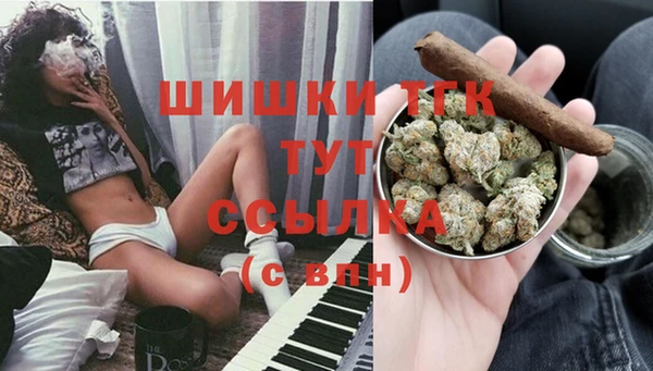 дживик Переславль-Залесский