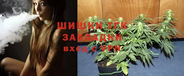 дживик Переславль-Залесский