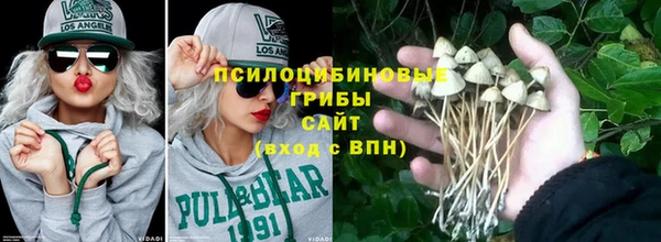 сатива Пересвет