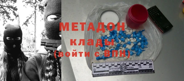 индика Осинники