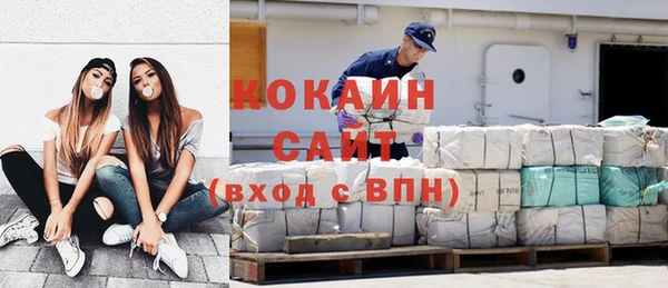 индика Осинники